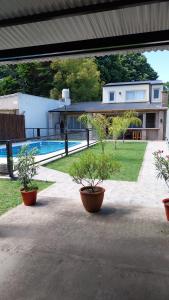 three potted trees in pots on a patio near a pool at Complejo Los Tilos in Chascomús