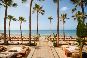 a beach with chaise lounges and palm trees at Don Carlos Marbella in Marbella