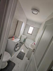 an overhead view of a bathroom with a toilet and sink at Apartament Dem Rădulescu, Rm Vâlcea in Troian +9 photos