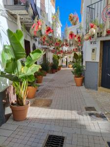 an alley with potted plants on the side of a building at Casa Lara - Sierra de Cazorla in Quesada