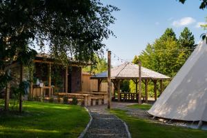 ein Garten mit Picknicktisch und Pavillon in der Unterkunft Moon Glamping in Benczyn
