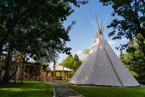 ein Tipi in einem Hof mit einem Haus in der Unterkunft Moon Glamping in Benczyn + 29 Fotos