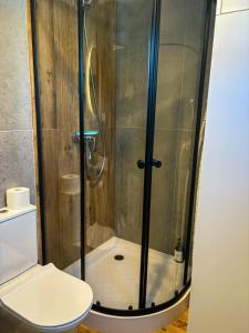 a bathroom with a shower and a toilet at Silva SPA in Goszczyce Średnie +23 photos