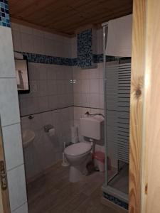 a small bathroom with a toilet and a shower at Hotel Bärenhof in Philippsreut