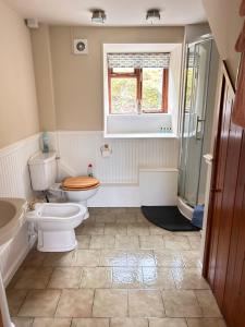 a bathroom with a toilet and a sink and a window at Llanerch in Bala +21 photos
