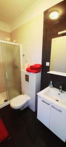 a bathroom with a toilet and a sink at Apartment Damir in Mali Ston