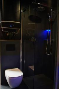 a bathroom with a toilet and a glass shower at Magical Wellness Cottage Trvalka in Křimov
