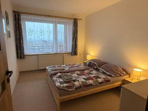 a bedroom with a bed and a window at Apartment Světlá in Světlá