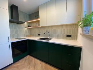 a kitchen with green cabinets and a sink at ZIELONE DRZWI Hajnówka in Hajnówka