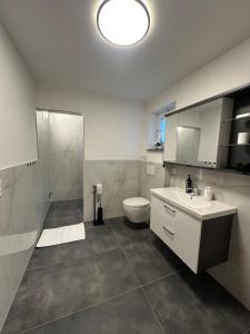 a bathroom with a toilet and a sink and a shower at Ferienwohnung am Wildpark Eichert HDH in Heidenheim an der Brenz +18 photos