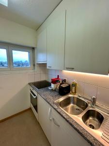a kitchen with a sink and a counter top at Cozy Studio in Witikon District in Zurich
