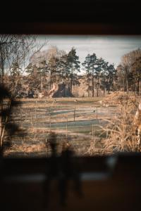 a view from a window of a field with animals at Gårdshuset på Wrågården in Falköping