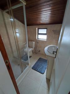 a small bathroom with a shower and a sink at Alenquer, Alojamento Santa Catarina in Alenquer +74 photos