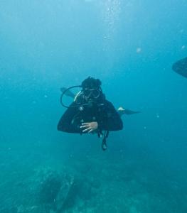 a person swimming in the water with a diver at Golden Kudle Beach Resort in Gokarna +10 photos