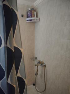 a shower with a hose in a bathroom at A & P Apartment in Xanthi +2 photos
