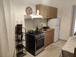 a kitchen with a stove and a sink and a refrigerator at A & P Apartment in Xanthi