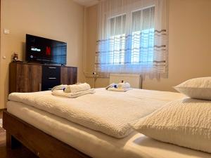 a bedroom with two beds and a flat screen tv at City Edge Hideaway Apartment in Nagykanizsa