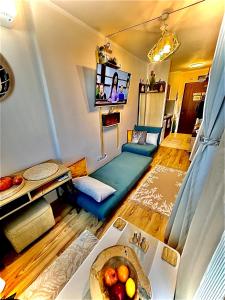 a living room with a couch and a tv at Borovets luxury studio in Samokov +3 photos