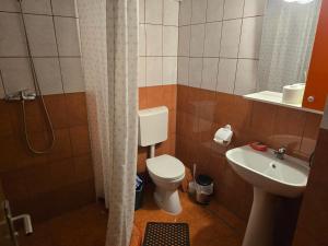 a bathroom with a toilet and a sink at Casa Vivian in Băile Herculane