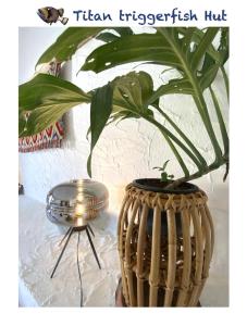 a vase with a plant in it sitting on a table at Triggerfish Hut at Casa Domingo in Ban Thong Phlu +21 photos