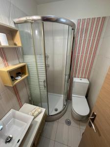 ein Badezimmer mit Dusche, Toilette und Waschbecken in der Unterkunft Thelxis in Volos