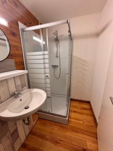 a bathroom with a shower and a sink at HerbergeZumBrieselang in Brieselang