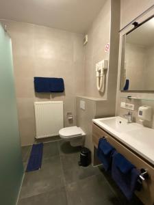 a bathroom with a sink and a toilet and a mirror at Hotel Cleo in Kasterlee