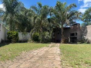 a dirt road in front of a house with palm trees at Kingston House in La Rioja