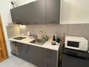 a small kitchen with a sink and a microwave at Cozy Mountain Apartment with Cimone view in Faidello +5 photos