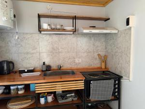 a kitchen with a sink and a stove at Elvira in Estación Circunvalación