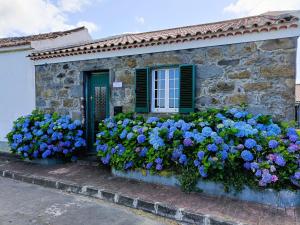 a stone house with blue flowers in front of a window at Paraíso Verde in Algarvia