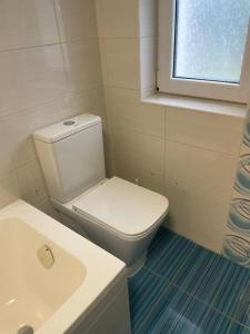 a bathroom with a toilet and a sink and a window at Rodinný dům se zahradou - Pardubice Svítkov in Pardubice +23 photos
