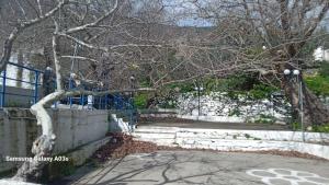 a tree next to a fence and a sidewalk at Mary Mary! in Agios Kirykos +4 photos