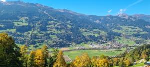 a valley in the mountains with trees and houses at Wöscherhof in Stummerberg