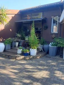 a bunch of potted plants sitting outside of a house at Portia inn accommodation in Pretoria