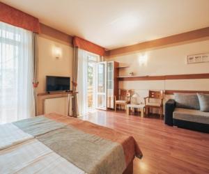 a bedroom with a bed and a couch and a television at Villa Dorottya in Balatonföldvár