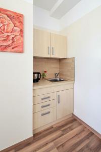 a kitchen with wooden cabinets and a sink at Petul Apart Hotel City in Essen