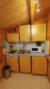 a kitchen with a sink and a microwave at Holzhaus direkt am See in Priepert