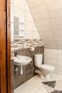 a bathroom with a toilet and a sink at Pokoje u Jozka-Widok na Tatry in Groń +79 photos