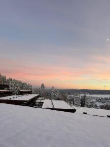 a view of a snow covered roof of a building at Black Forest Vista - Pool Sauna Tennis in Schonach