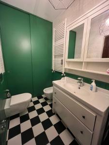 a green bathroom with a toilet and a sink at Casa vacanze La Fenice 2 in Pietranico
