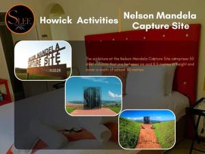 a collage of pictures of a hotel room with a bed at Slee Guest House in Howick