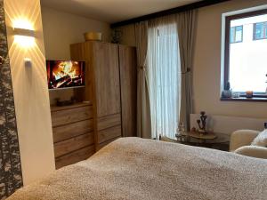 a bedroom with a bed and a tv and a window at Bambi in Pamporovo