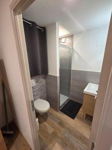 a bathroom with a shower and a toilet and a sink at Le Sebastopol- Studio cosy en centre ville de Brioude in Brioude +2 photos