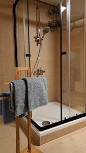 a shower with a towel on a chair in a bathroom at Baers Mountain Stay Außerbraz in Innerbraz +28 photos