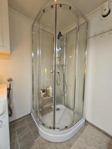 a shower with a glass enclosure in a bathroom at Hammergaarden - Kårstua - Panoramic Arctic Stay in Sortland +39 photos