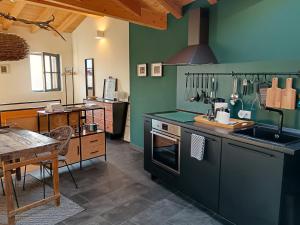 a kitchen with green walls and a stove top oven at Chalet Nest in Gravedona