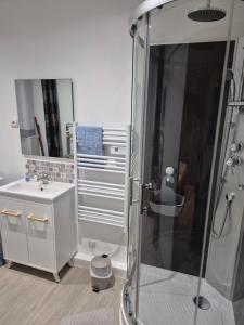 a small bathroom with a shower and a sink at Le Colibri in Le Port-des-Barques +5 photos