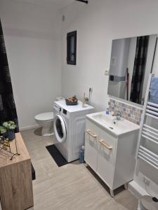 a bathroom with a washing machine and a sink at Le Colibri in Le Port-des-Barques