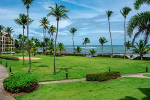 a park with palm trees and the ocean at Crescent Beach by Otium in Humacao